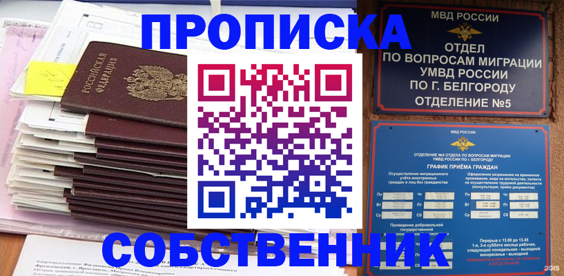 прописка законно в Елизово